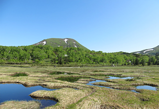 ニセコ軽登山 イメージ